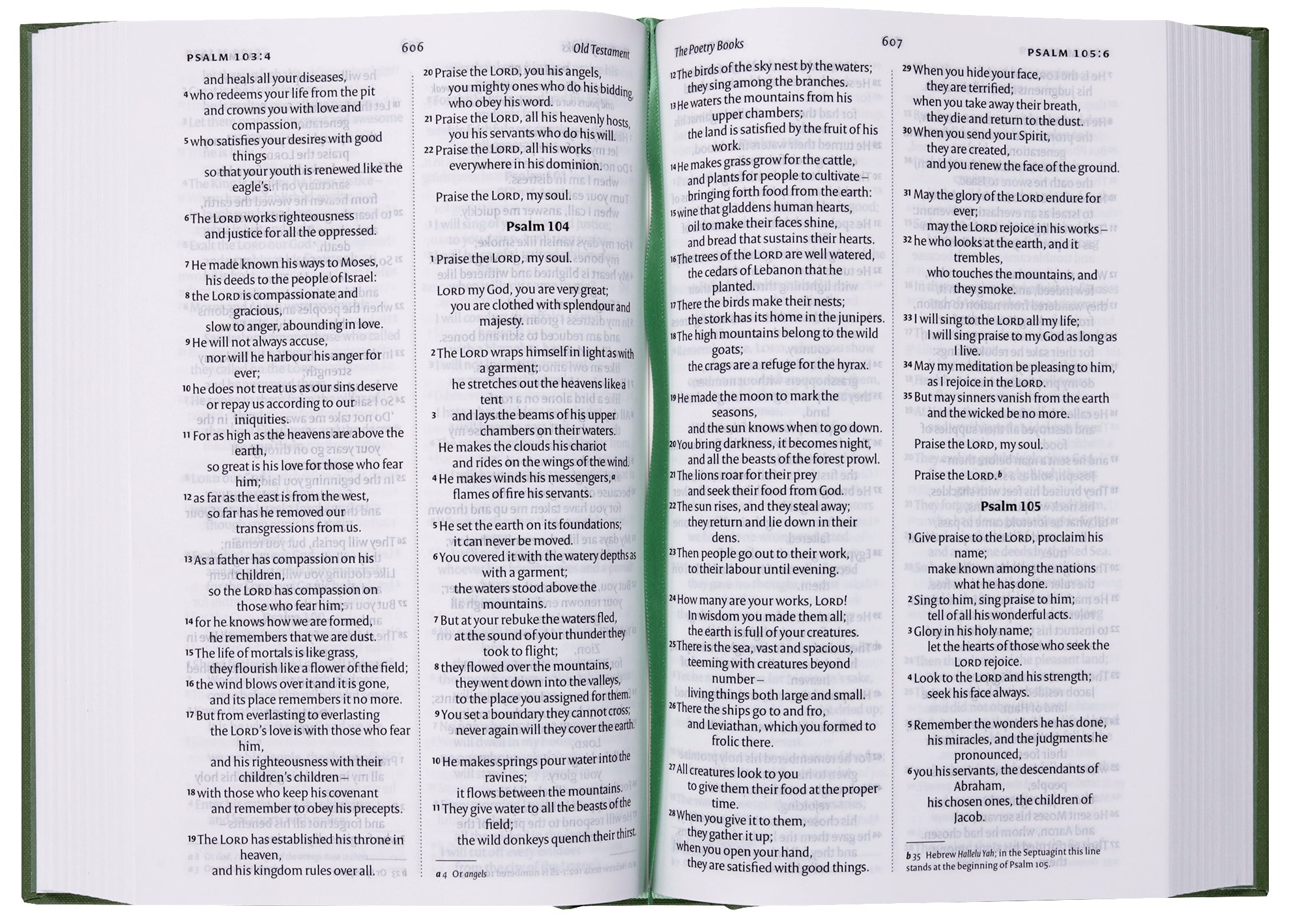 NIV Classic Bible, Garden Green (Anglicised Version)