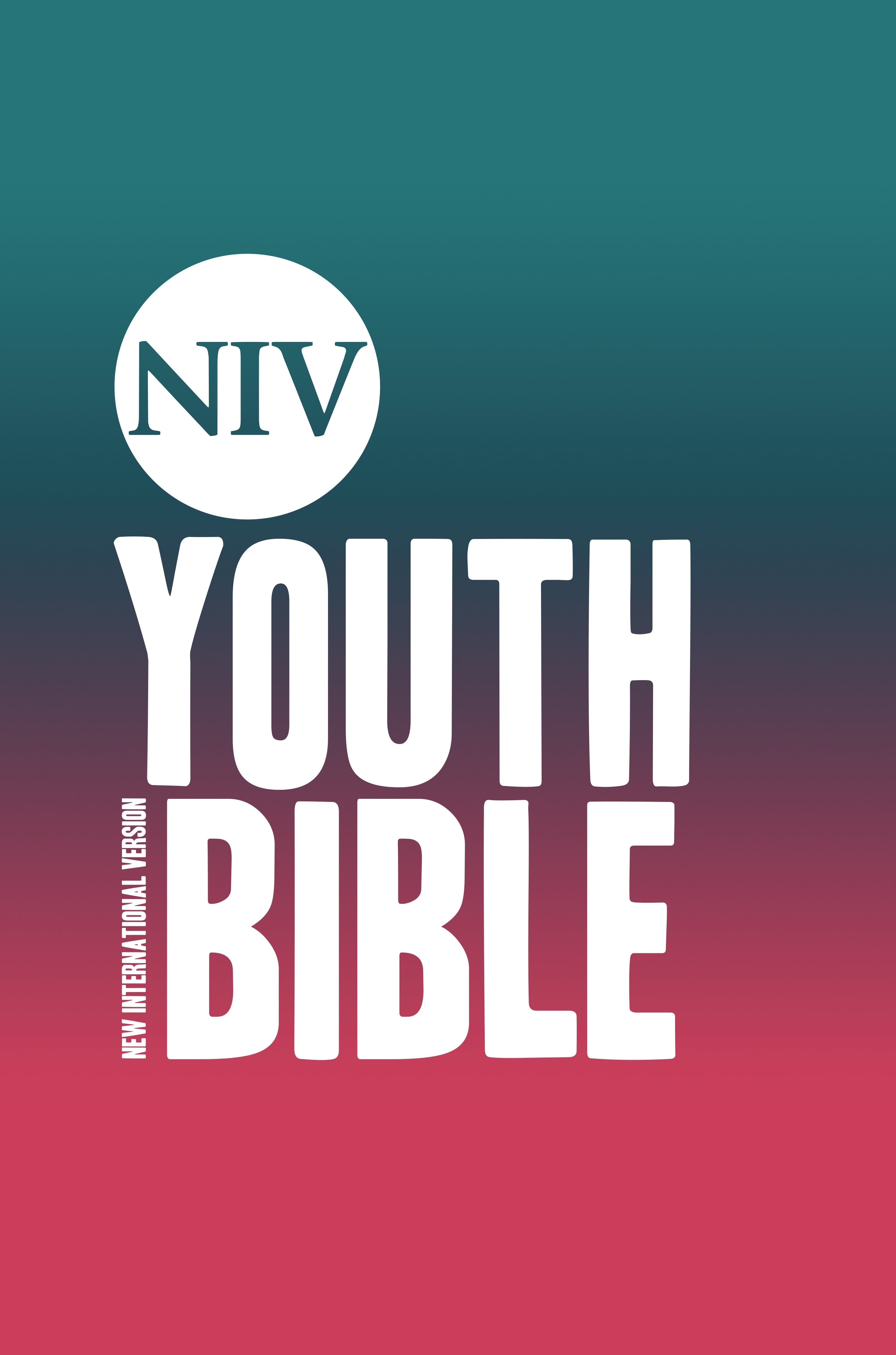 NIV Youth Bible (Anglicised Text)