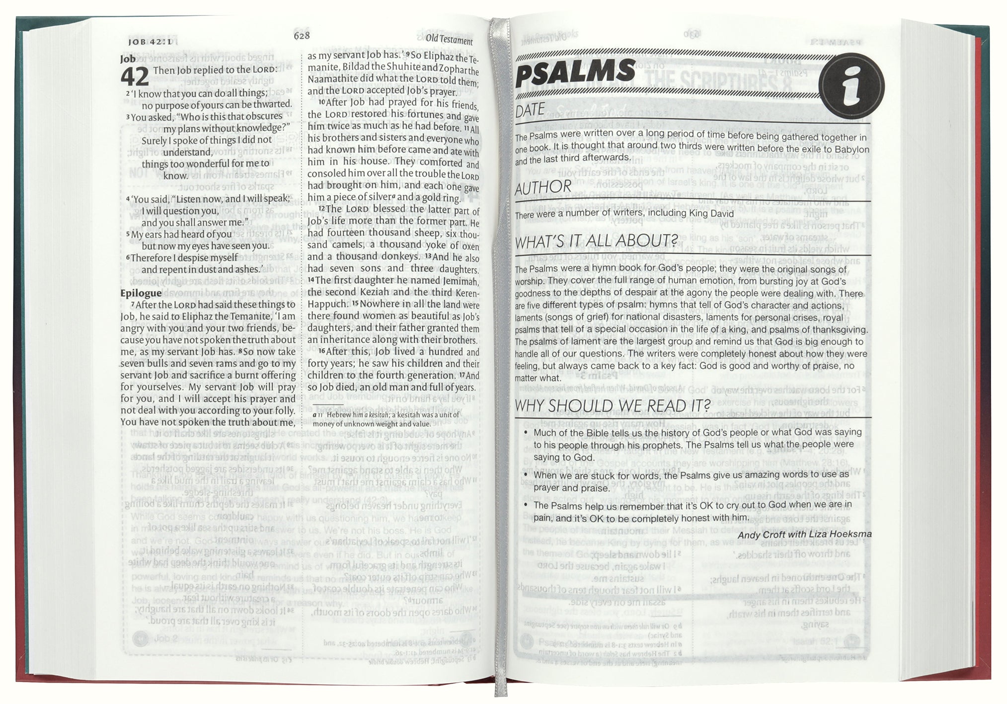 NIV Youth Bible (Anglicised Text)