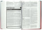 NIV Youth Bible (Anglicised Text)