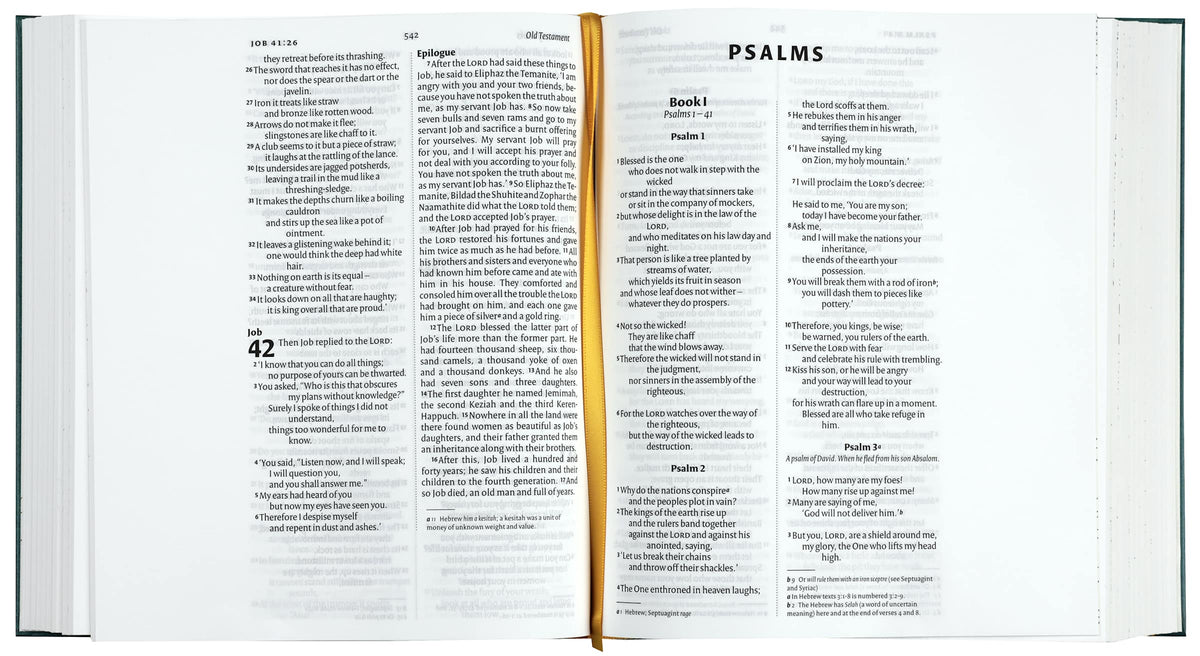 NIV Illuminated Bible