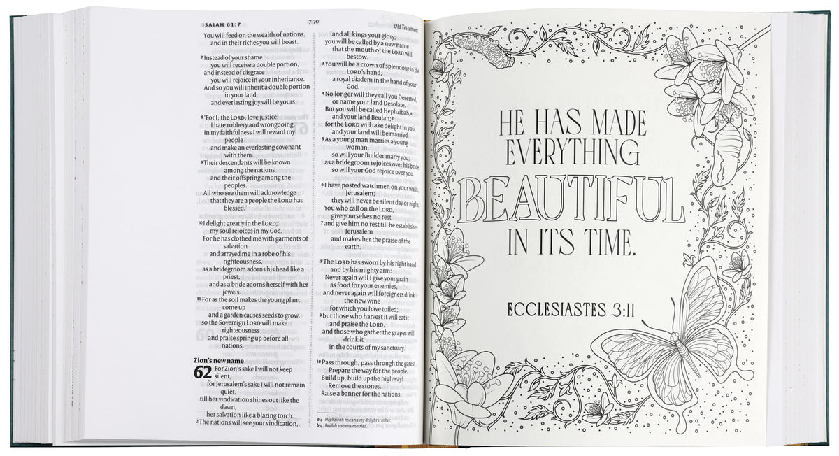 NIV Illuminated Bible