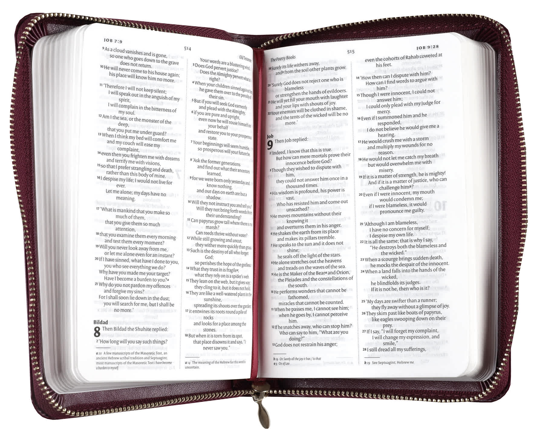 NIV Pocket Bible with Gold Zip Mulberry