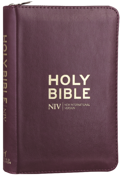 NIV Pocket Bible with Gold Zip Mulberry