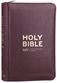 NIV Pocket Bible with Gold Zip Mulberry