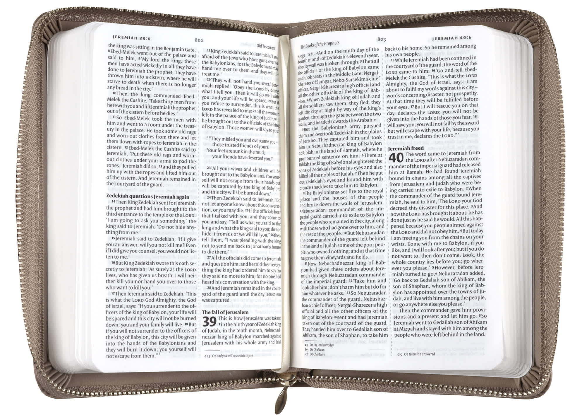 NIV Pocket Bible with Gold Zip Latte