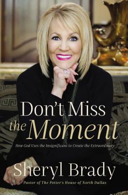 Don't Miss the Moment: How God Uses the Insignificant to Create the Extraordinary