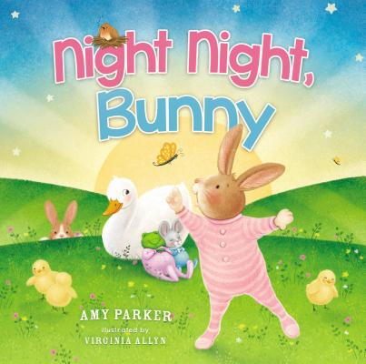 Night Night, Bunny (Night, Night Series)