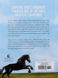 Unbridled Faith Devotions For Young Readers