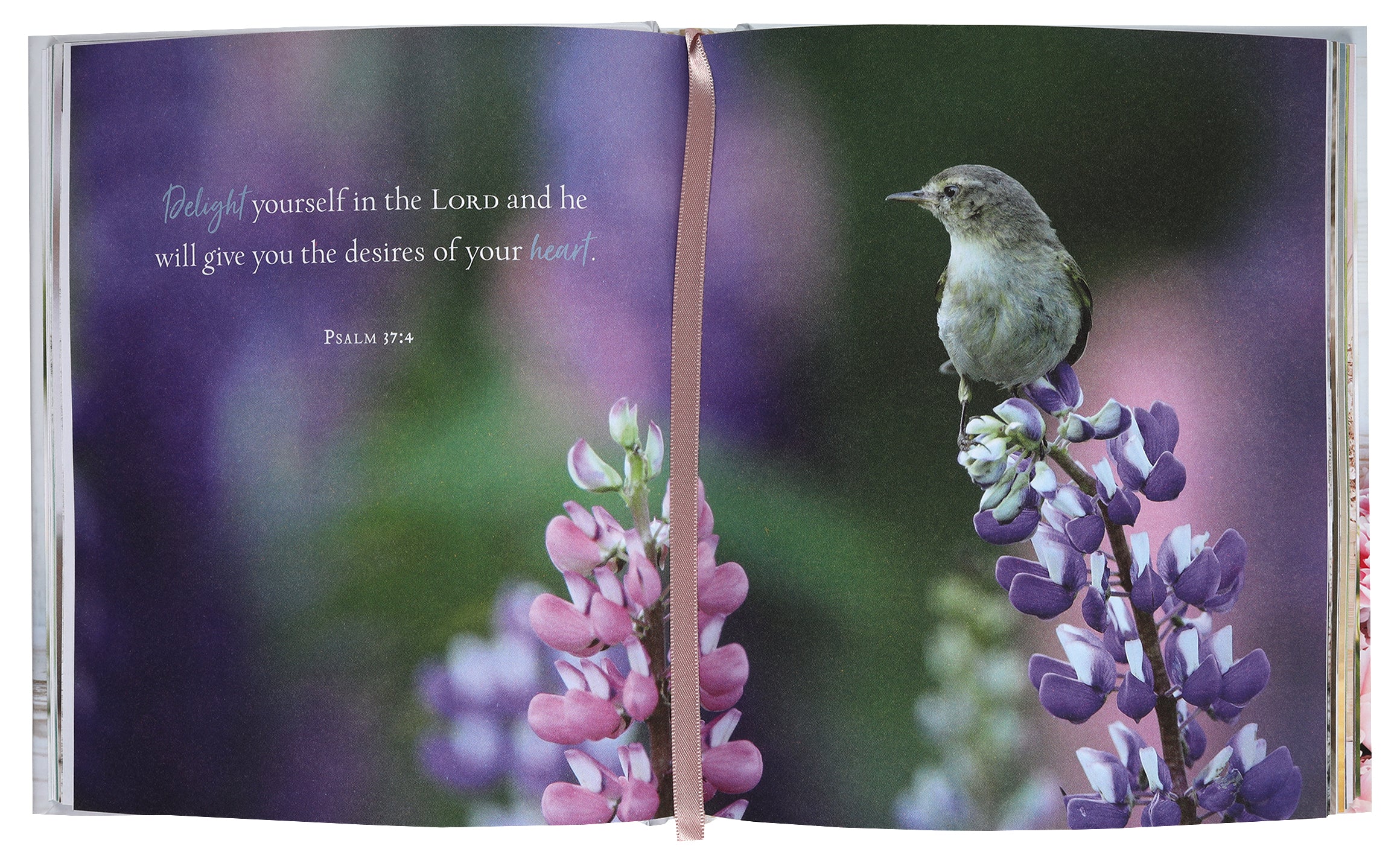 Jesus Calling For Moms