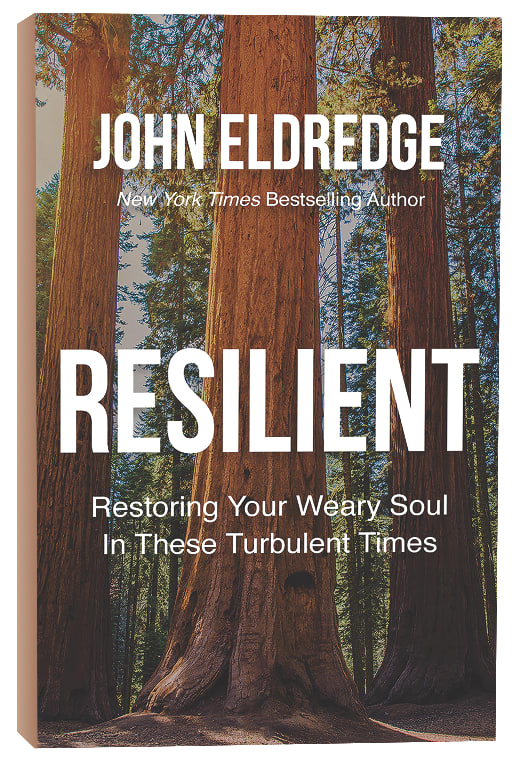 Resilient: Restoring Your Weary Soul in These Turbulent Times