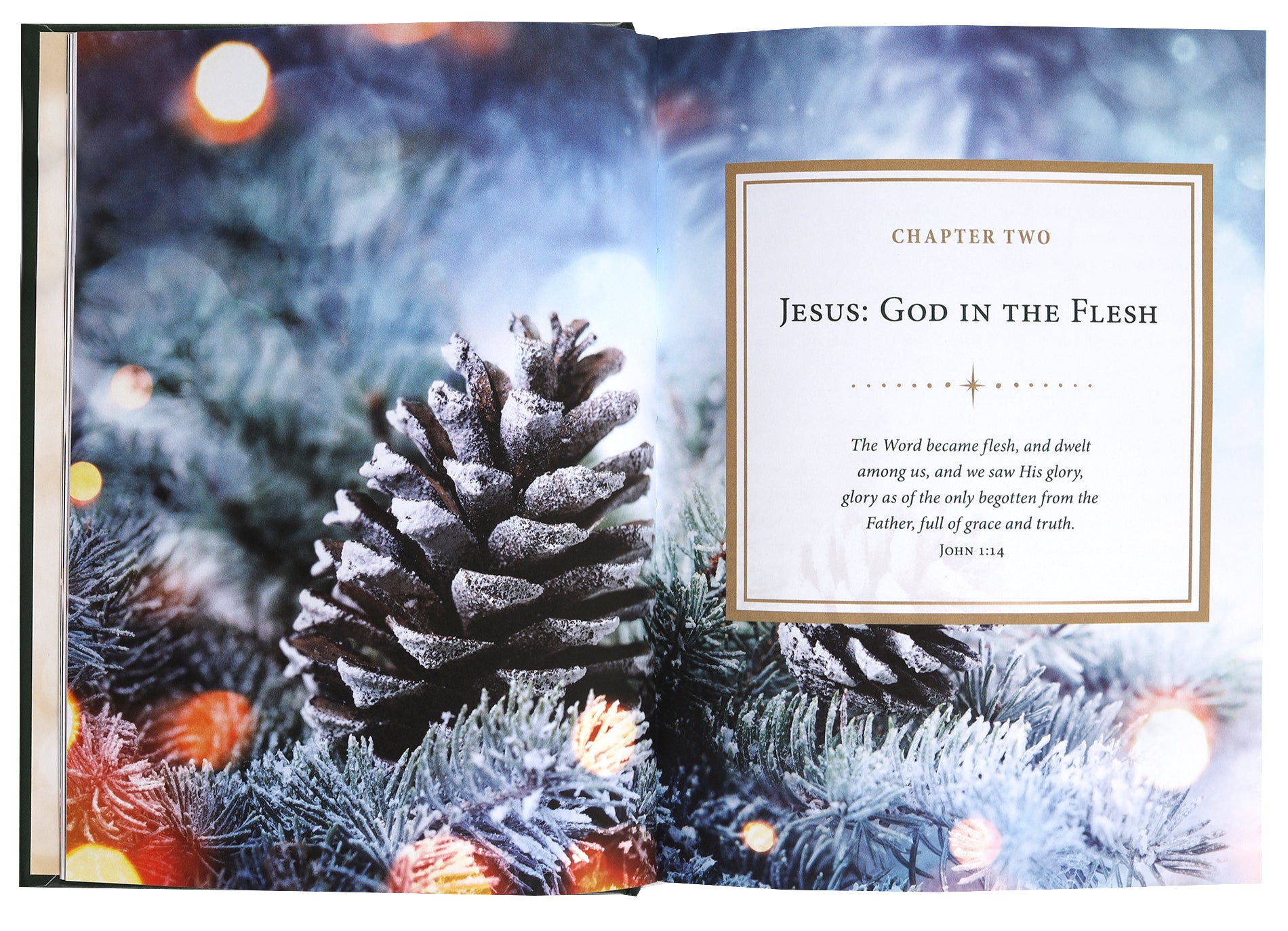 The Gift of Jesus: Meditations For Christmas