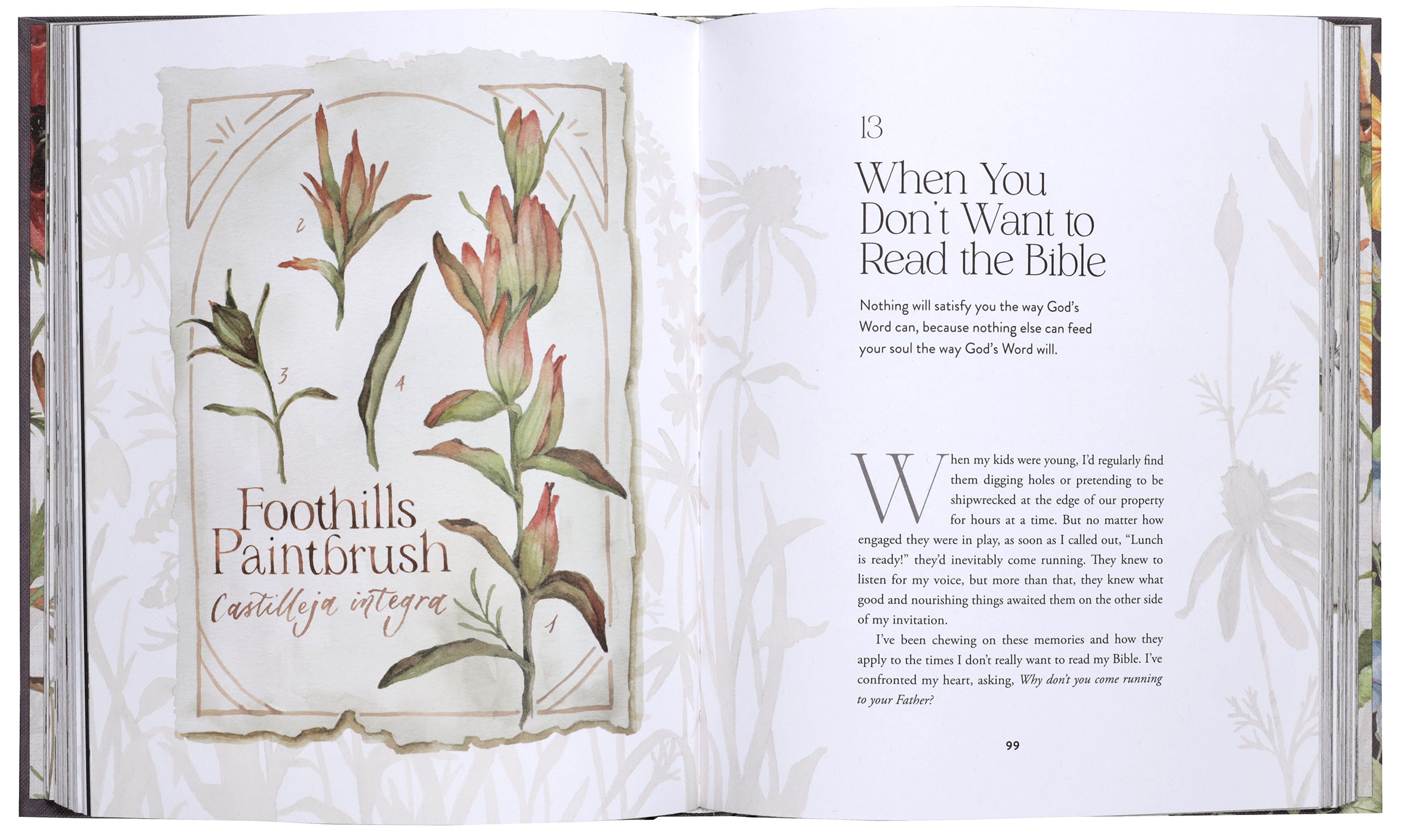 The Way of the Wildflower: Gospel Meditations to Unburden Your Anxious Soul