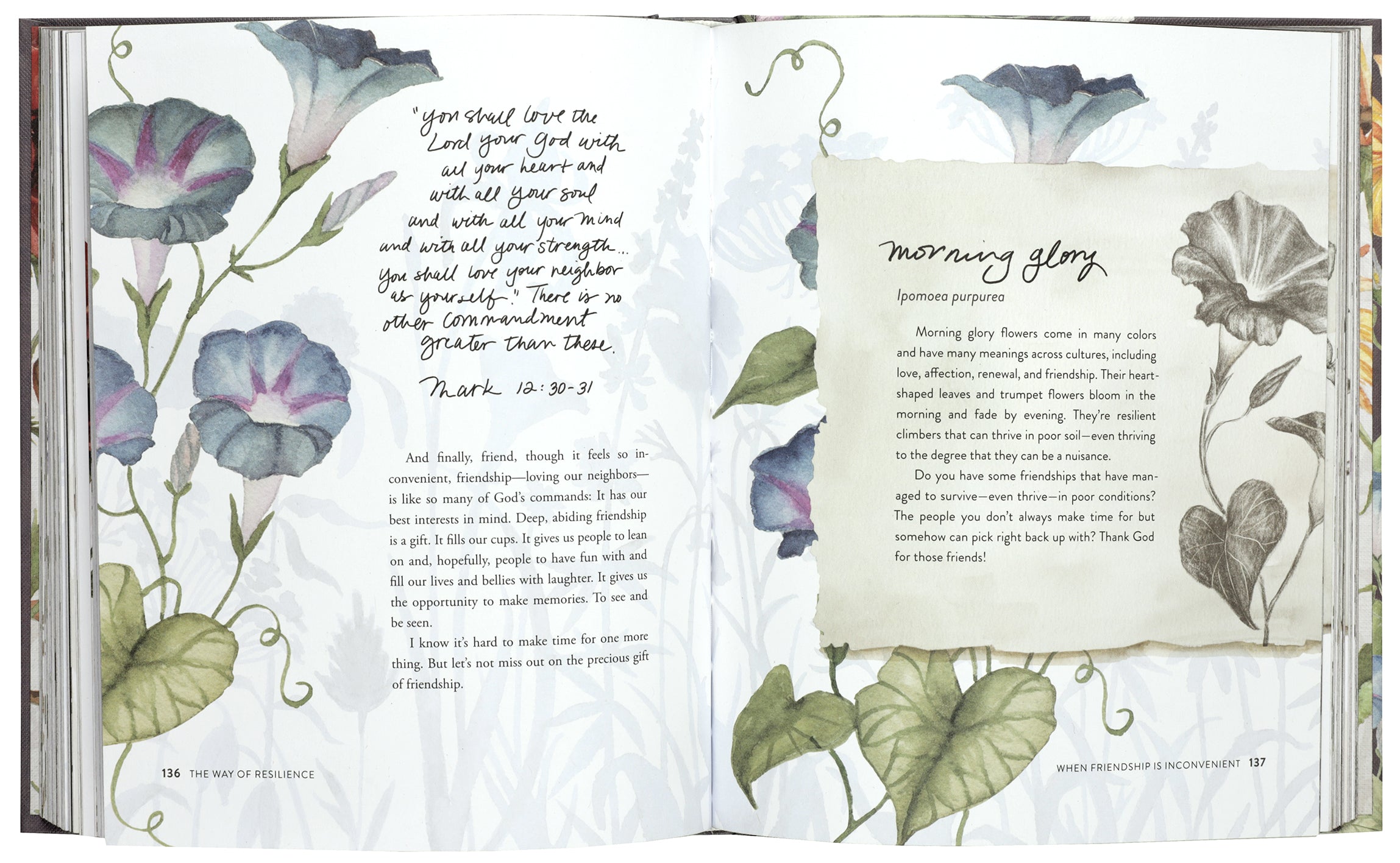 The Way of the Wildflower: Gospel Meditations to Unburden Your Anxious Soul