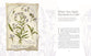 The Way of the Wildflower: Gospel Meditations to Unburden Your Anxious Soul