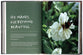 Fresh Mercies Every Day: Cultivate a Life of Trusting God, Following Him Daily, and Learning to Flourish