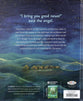 The First Christmas: The Bible's Nativity Story (God's Big Picture Bible Stories)