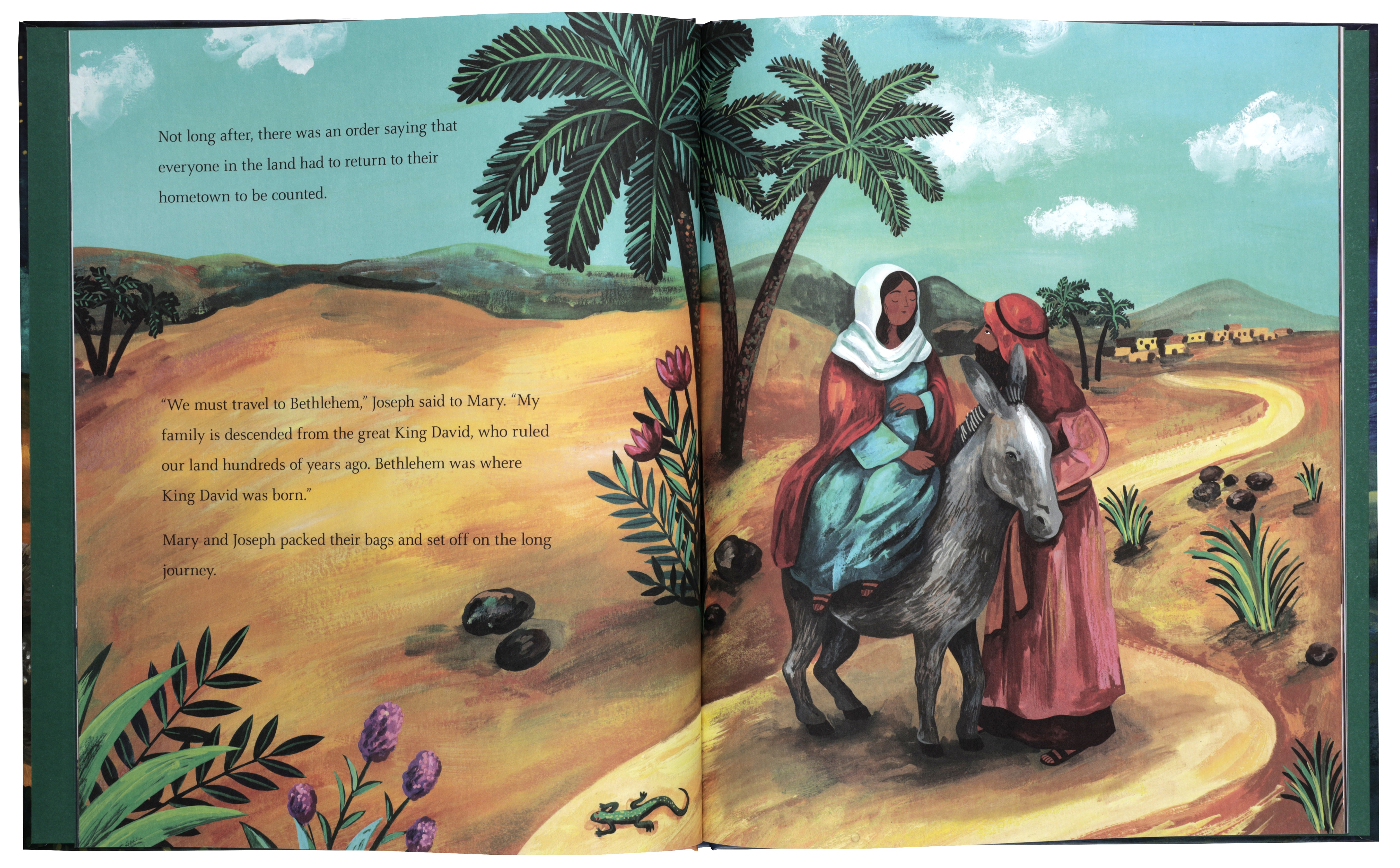 The First Christmas: The Bible's Nativity Story (God's Big Picture Bible Stories)