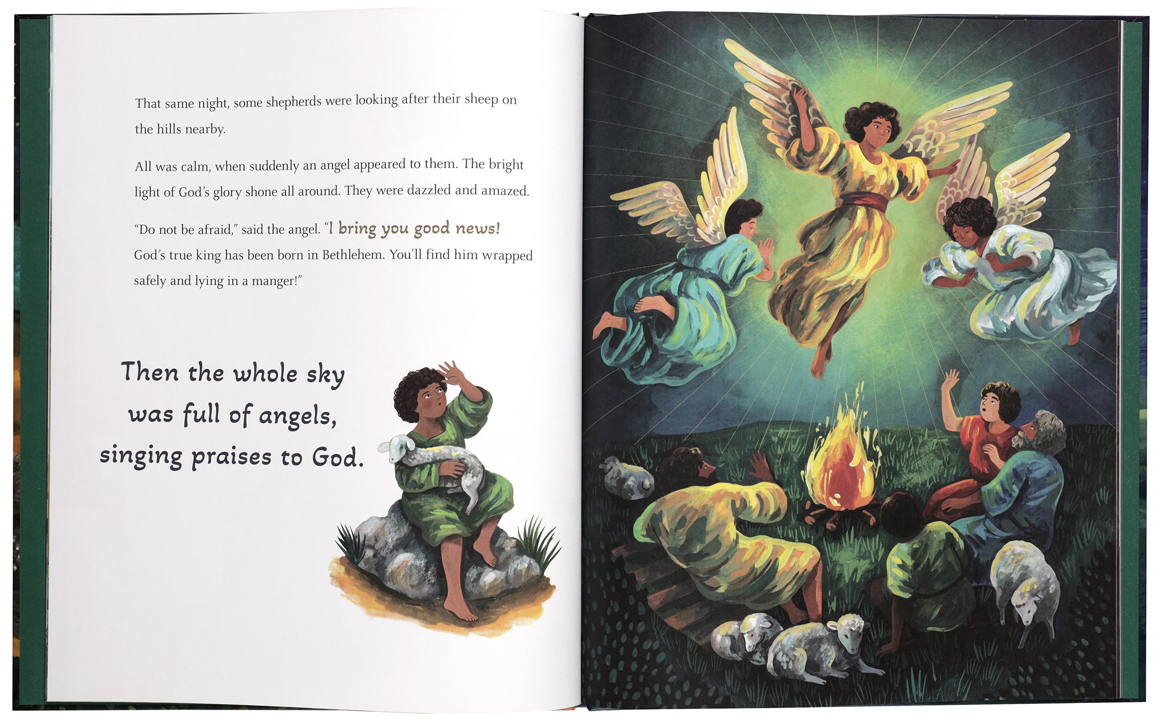 The First Christmas: The Bible's Nativity Story (God's Big Picture Bible Stories)