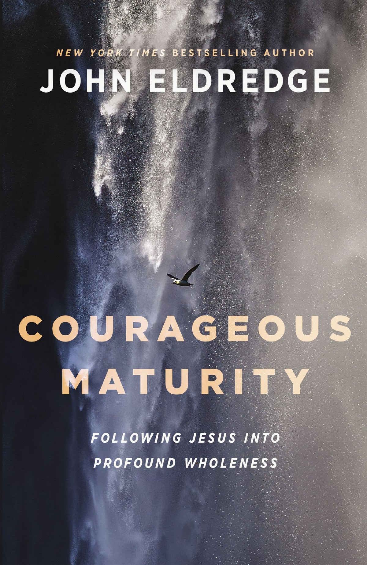 Courageous Maturity: Following Jesus Into Profound Wholeness