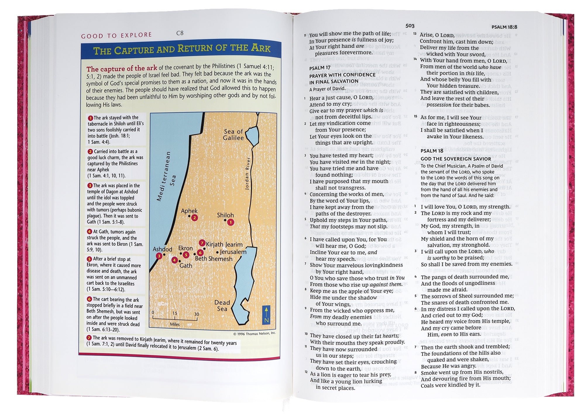 NKJV Early Readers Bible