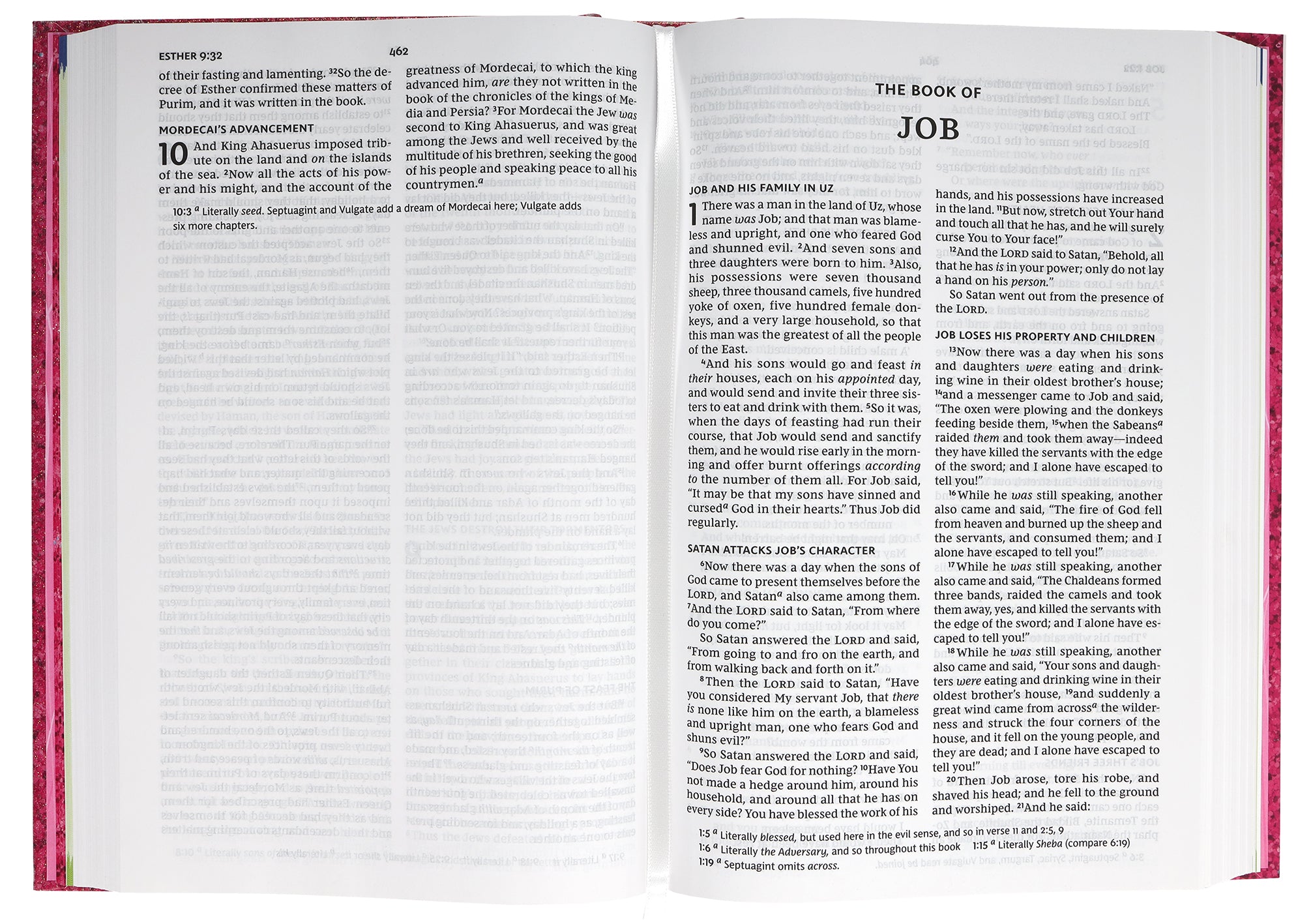 NKJV Early Readers Bible