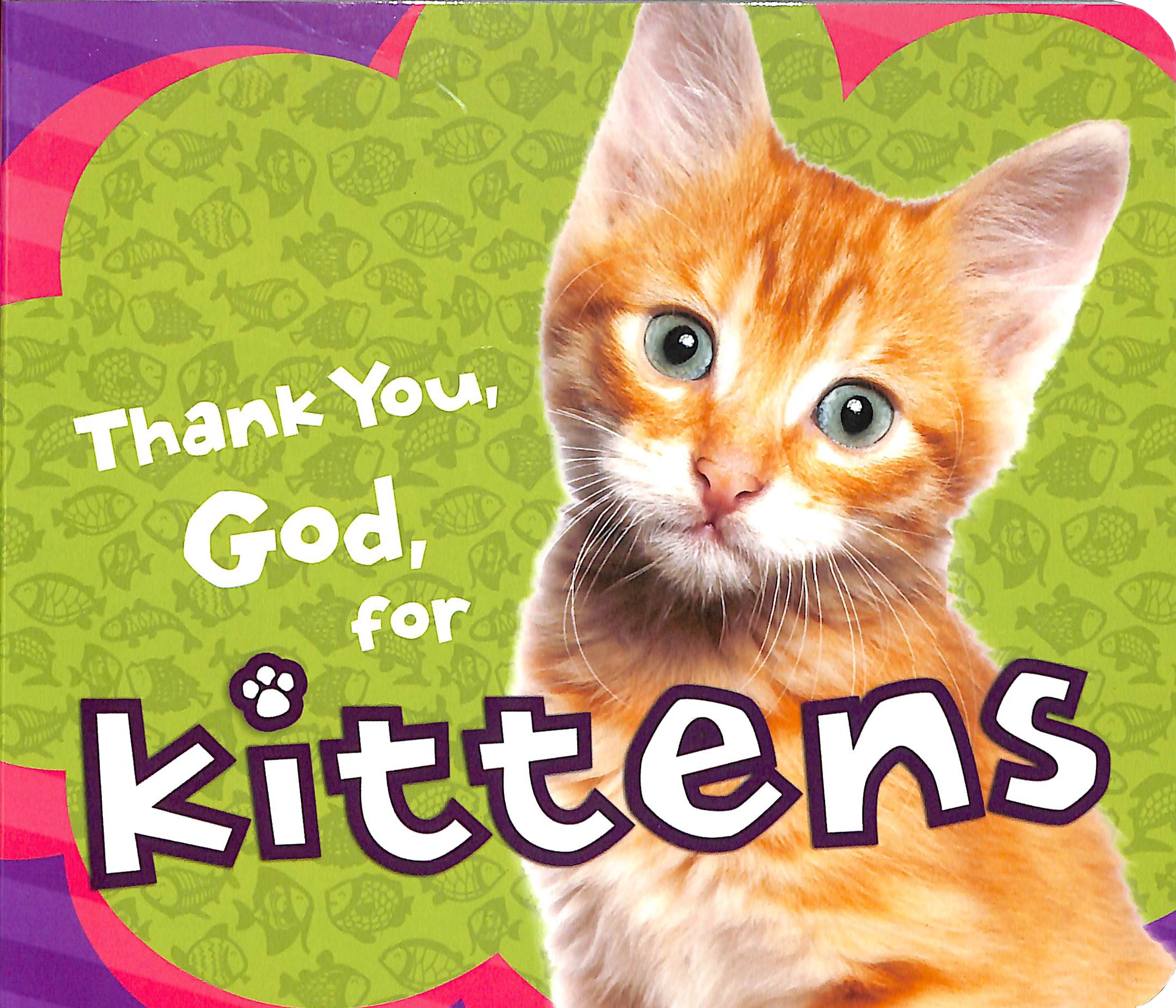Thank You God For Kittens