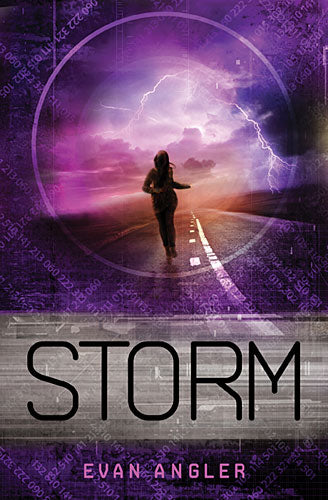 Storm (#03 in Swipe Series)