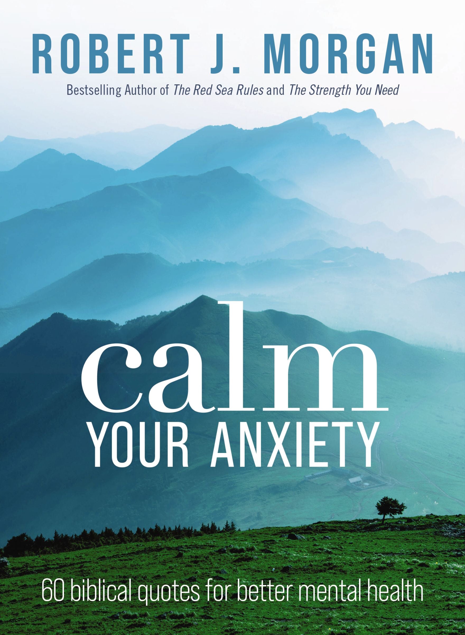 Calm Your Anxiety: 60 Biblical Quotes For Better Mental Health
