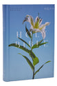 NRSV Catholic Edition Bible Easter Lily Anglicised Text Global Cover Series