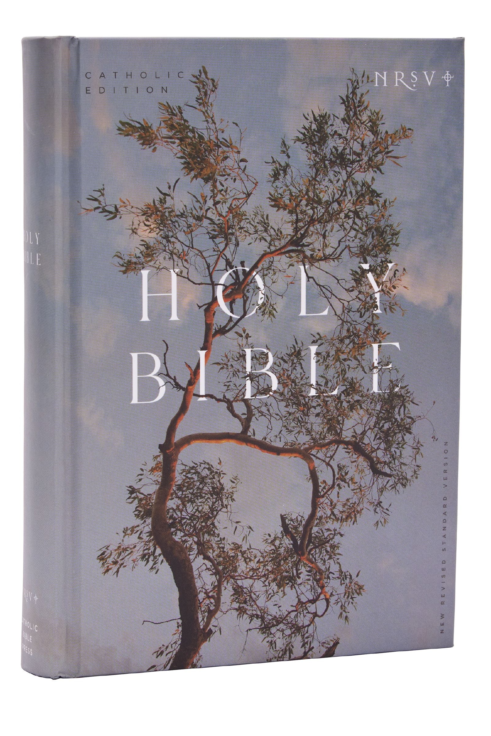 NRSV Catholic Edition Bible Eucalyptus Anglicised Text Global Cover Series