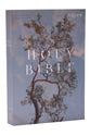 NRSV Catholic Edition Bible Eucalyptus Anglicised Text Global Cover Series