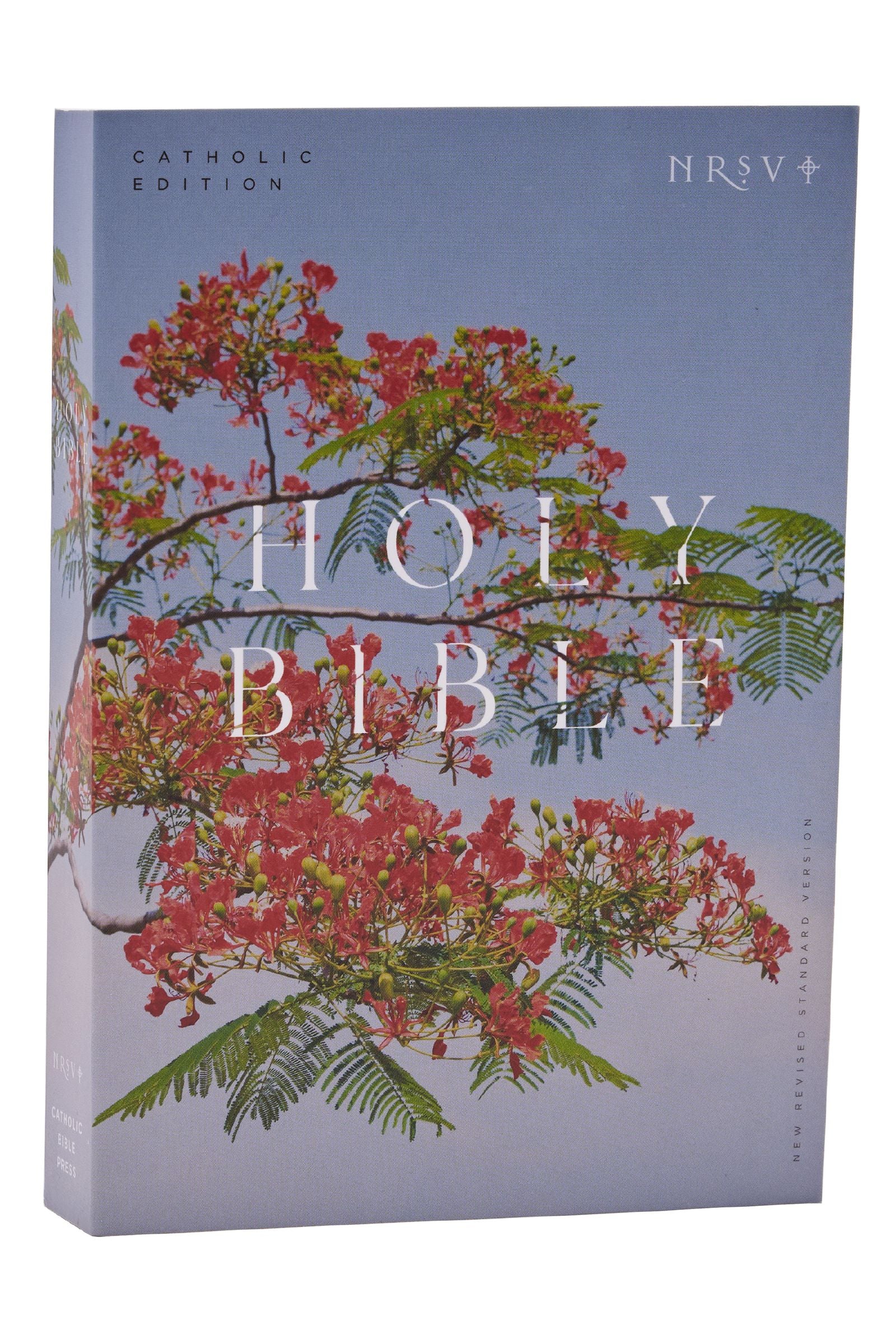 NRSV Catholic Edition Bible Royal Poinciana Anglicised Text Global Cover Series