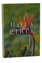NRSV Catholic Edition Bible Bird of Paradise Anglicised Text Global Cover Series