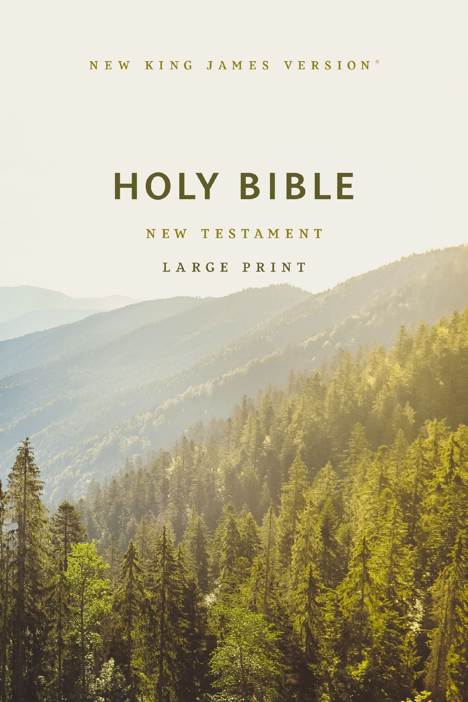 NKJV Large Print Outreach New Testament Bible, Scenic