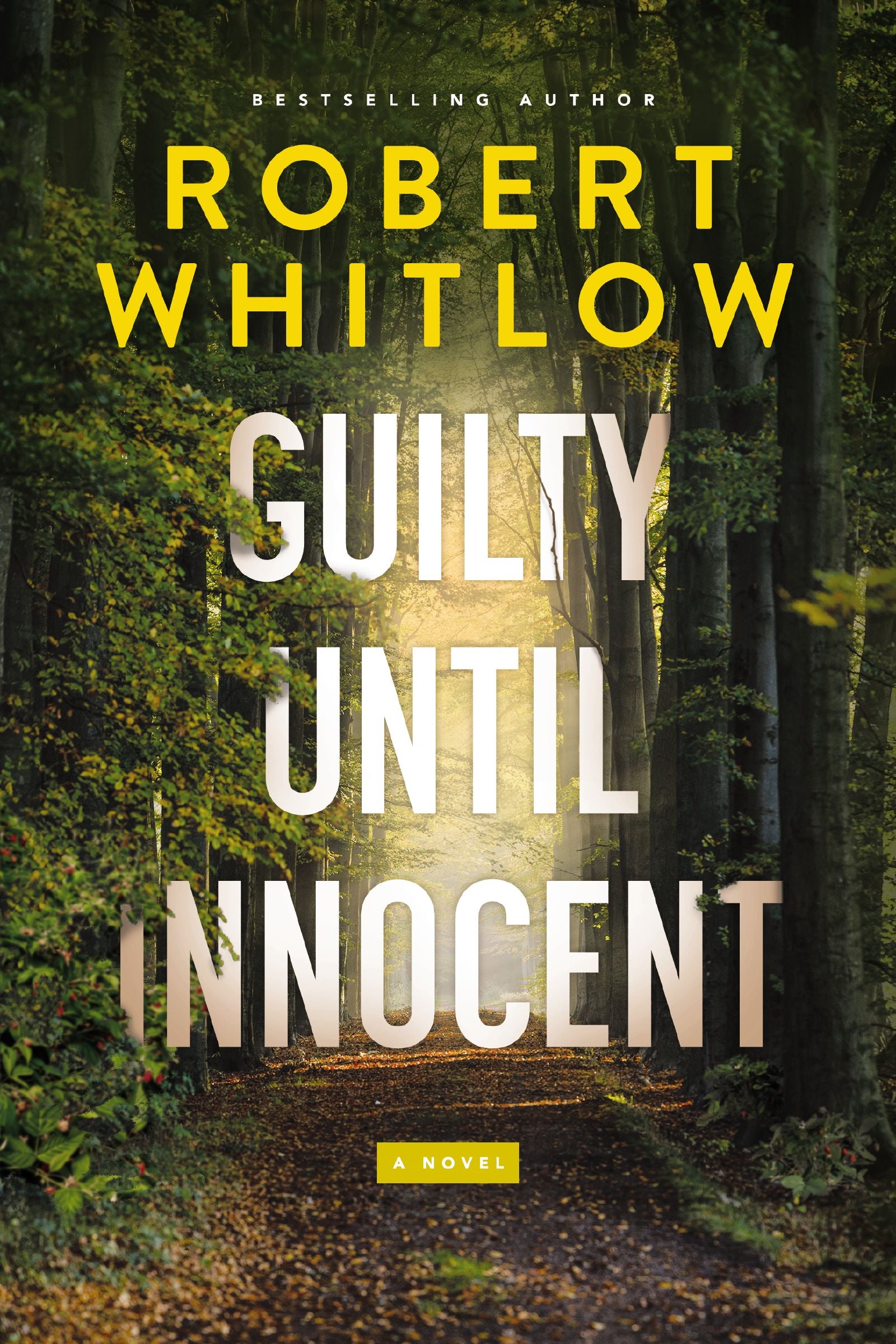 Guilty Until Innocent: A Novel