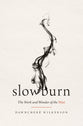 Slow Burn: The Work and Wonder of the Wait