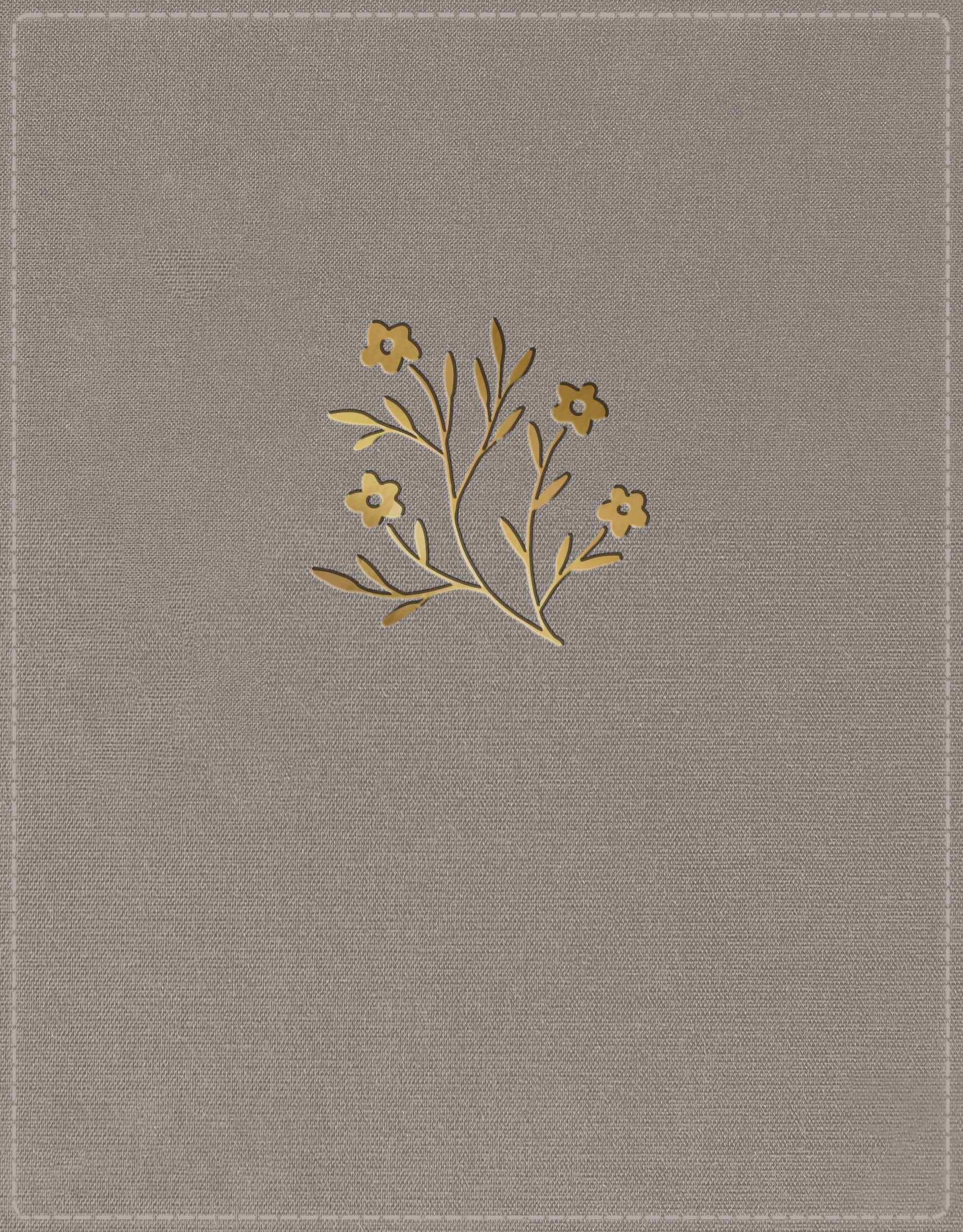 NKJV New Testament (Tracing Edition) Grey