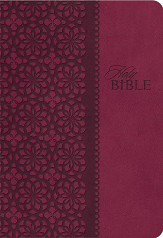 KJV Study Bible Cranberry With Indexing (Second Edition)