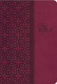 KJV Study Bible Cranberry With Indexing (Second Edition)