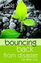 Bouncing Back From Disaster