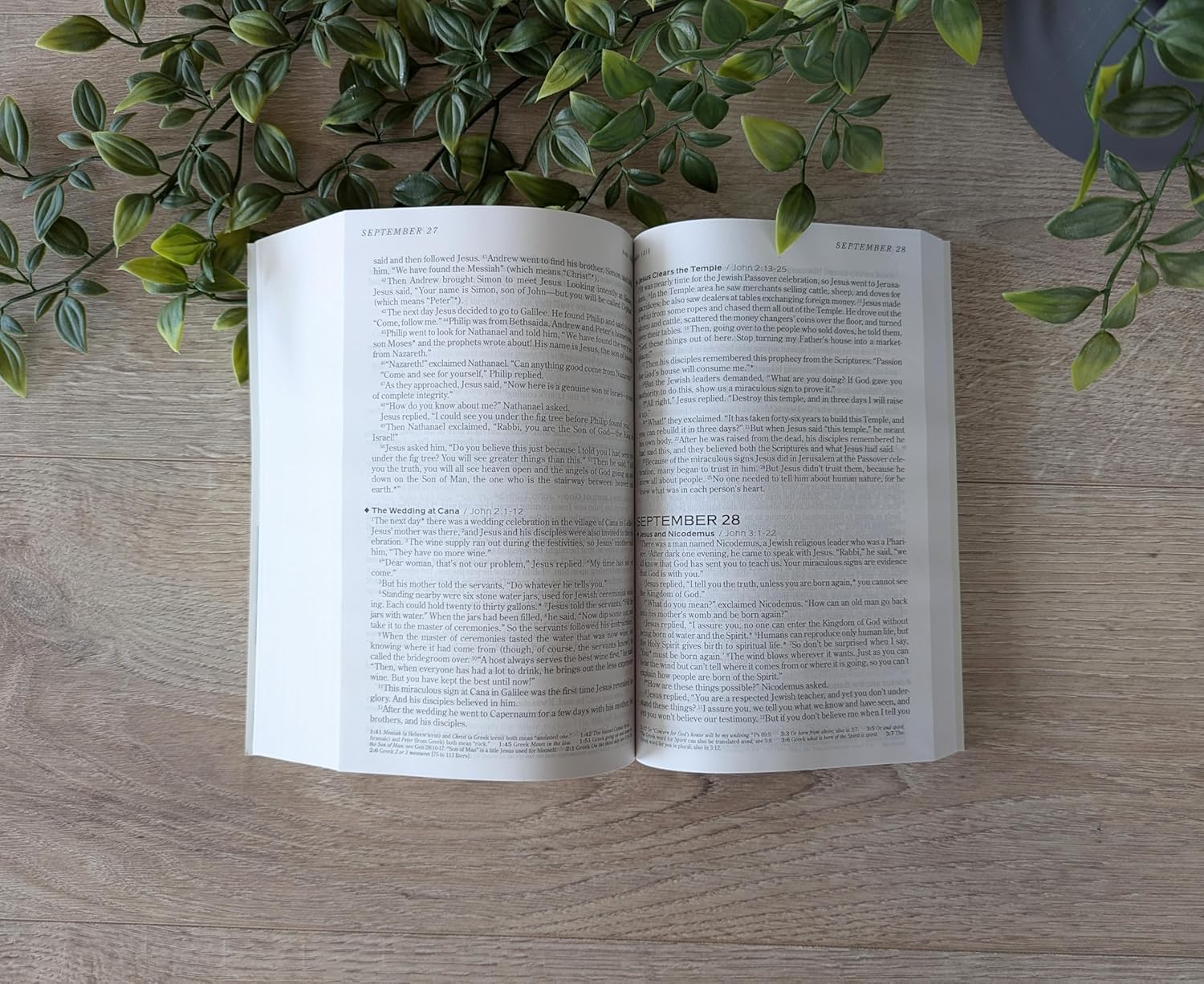NLT One Year Chronological Bible (Black Letter Edition) (2nd Edition)