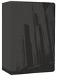 NLT Teen Life Application Study Steel City (Black Letter Edition)