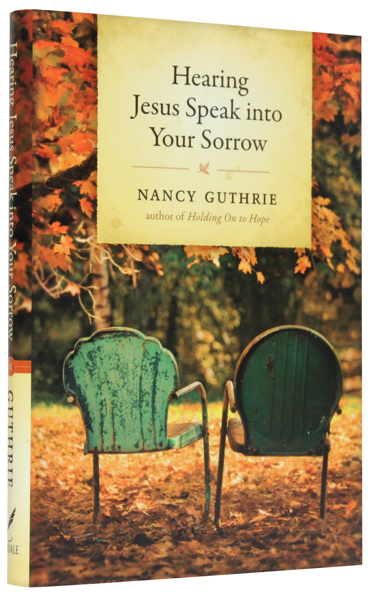 Hearing Jesus Speak Into Your Sorrow