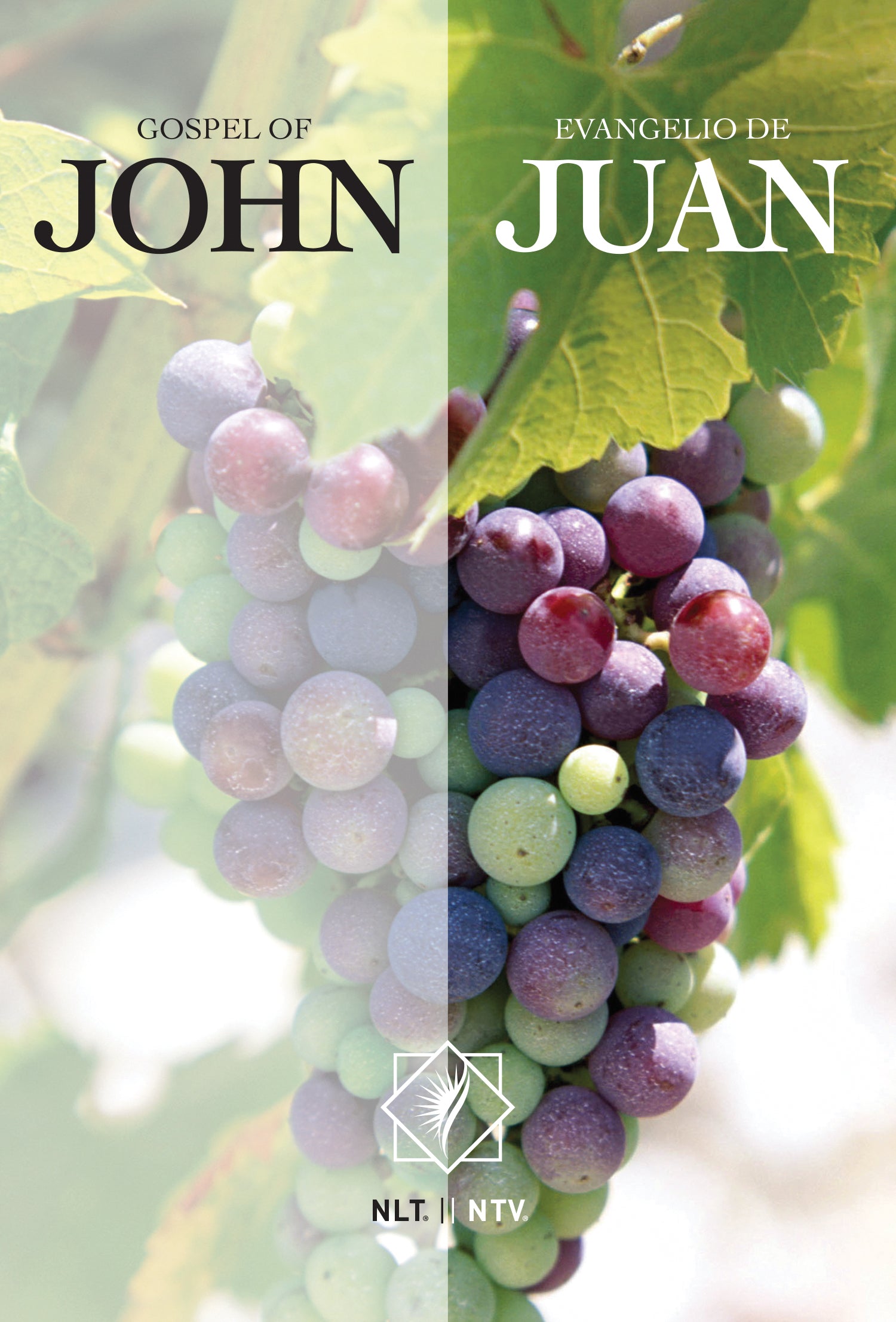 Nlt/Ntv Gospel of John/ Evangelio De Juan Parallel (Black Letter Edition)