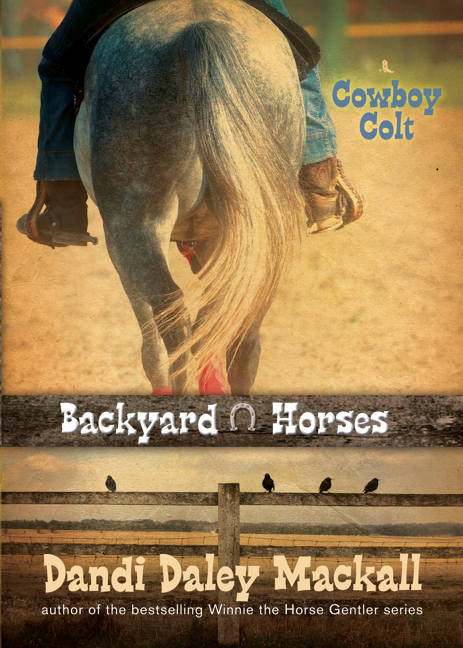 Cowboy Colt (#02 in Backyard Horses Series)