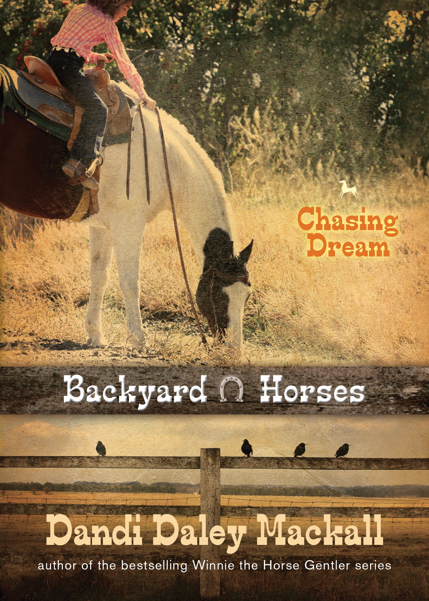 Chasing Dream (#03 in Backyard Horses Series)