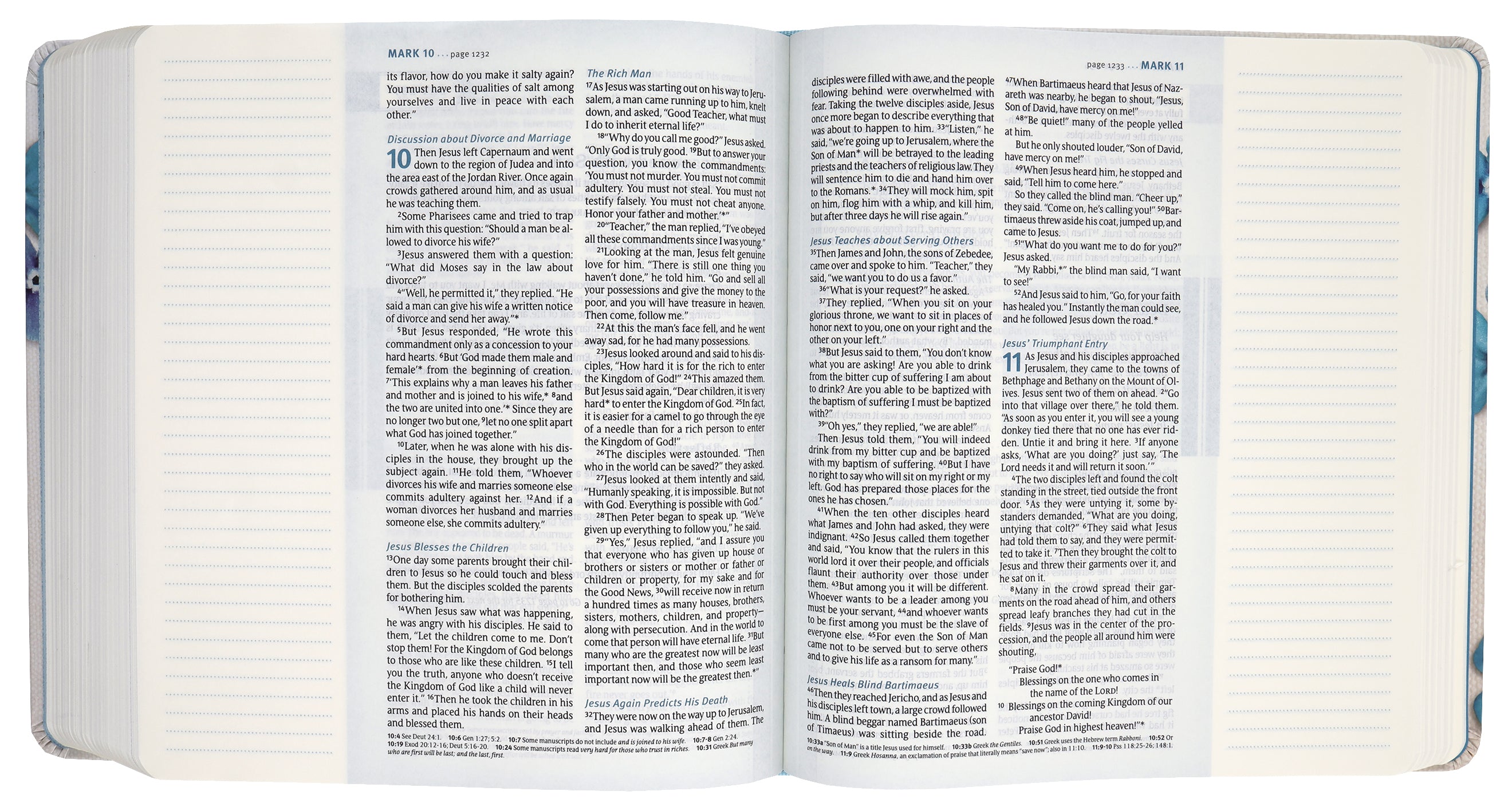 NLT Thrive Creative Journaling Devotional Bible Blue Flowers (Black Letter Edition)
