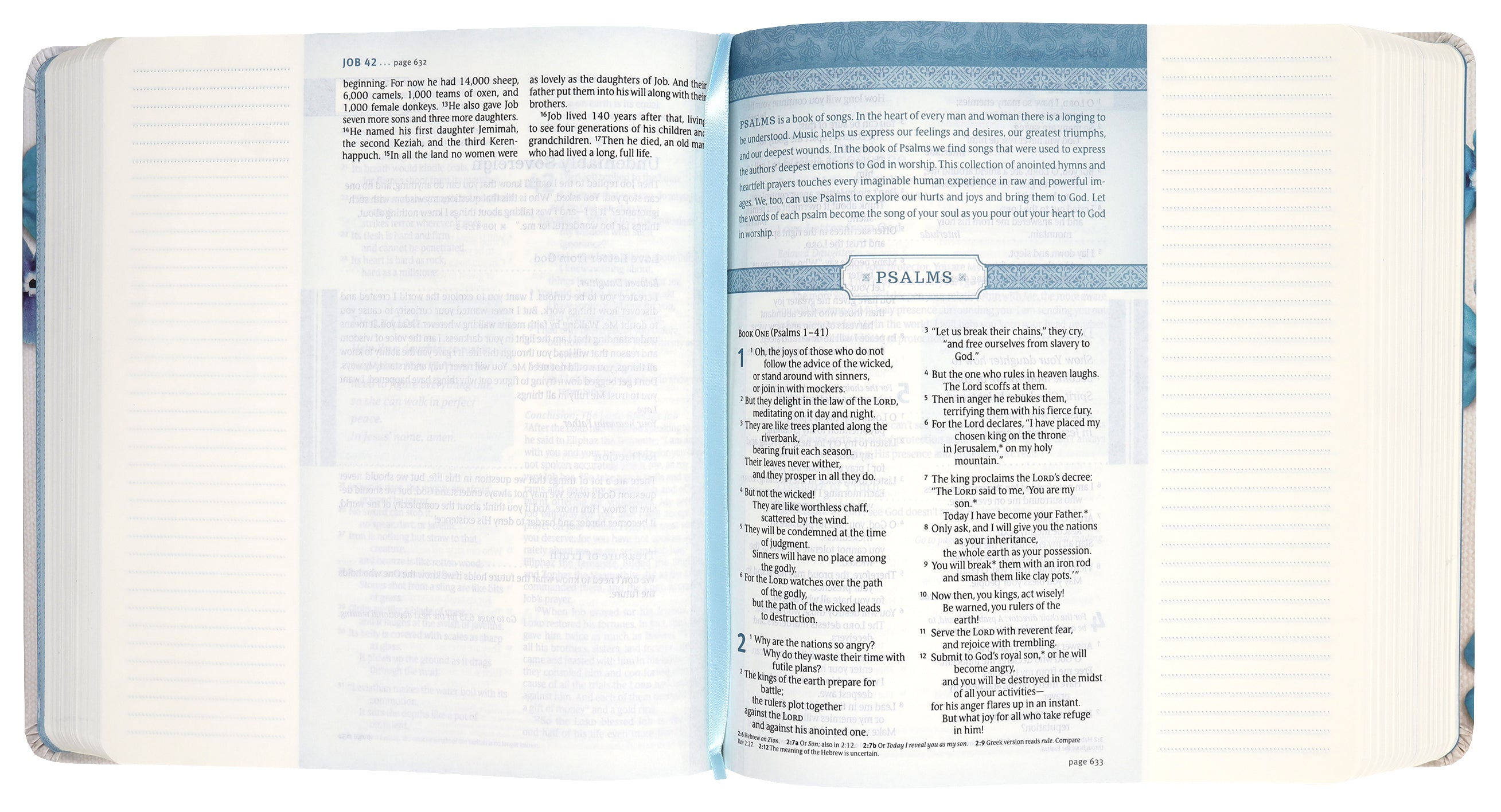 NLT Thrive Creative Journaling Devotional Bible Blue Flowers (Black Letter Edition)