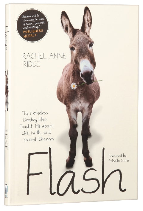 Flash: Homeless Donkey Who Taught Me About Life, Faith, and Second Chances